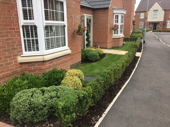 Commercial gardens maintenance