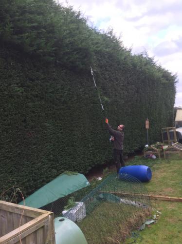 Hedge-maintenance